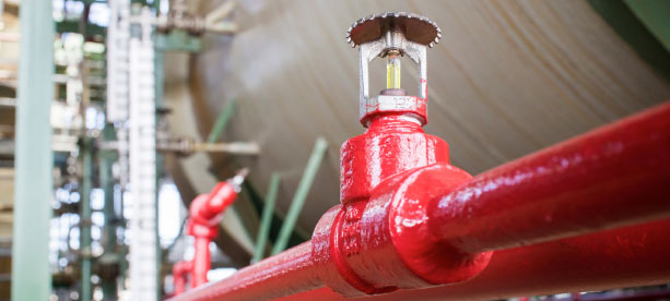 Red sprinkler system for fire suppression