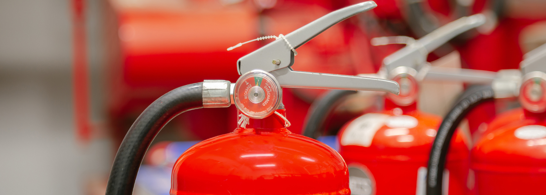 Group of fire extinguishers